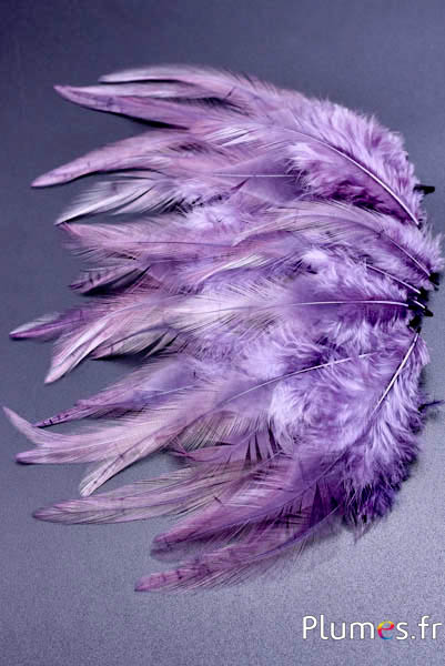 Hahnenkreuz - 8-12 cm - flieder-grau